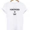 homophobia is gay T-shirt