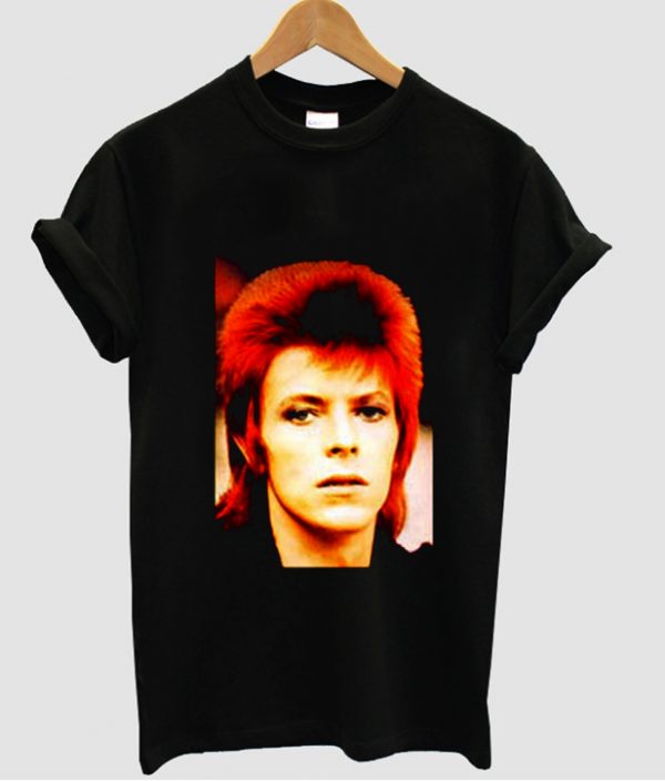 David Bowie Ziggy Stardust T Shirt