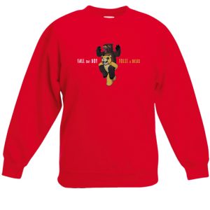 Fall Out Boy flie a deux sweatshirt