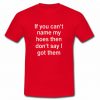 If You Can't Name My Hoes T shirt