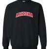 Arizona sweatshirt