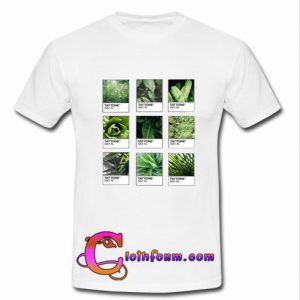 Plantone Collage t shirt