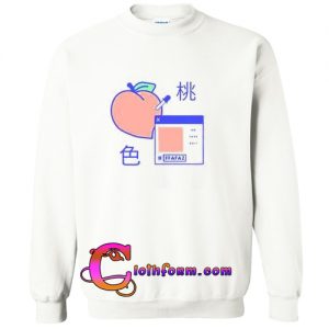 Peach Digital Sweatshirt