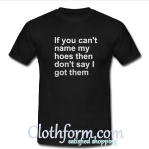 If You Can’t Name My Hoes Then T Shirt