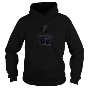 Black Cat Water Reflection Mirror Black Panther Hoodie SN