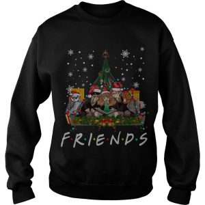 Harry Potter Hermione And Ron Weasley Christmas Tree Friends Tv Show Sweatshirt SN