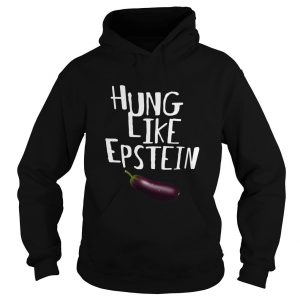 Hung Like Epstein Hoodie SN