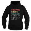 Pawpaw Knows Everything If He Doesn’t Know He Makes Stuff Up Really Fast Vintage Hoodie SN