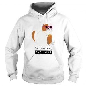 Smiling Cat Too Busy Being Fabulous Hoodie SN