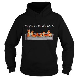 Corgi Tv Show Friends Hoodie SN