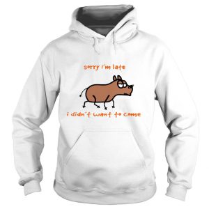 Dog Sorry Im Late I Didn’t Want To Come Hoodie SN