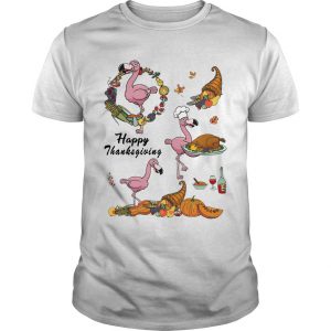 Happy Thanksgiving Flamingo T Shirt SN