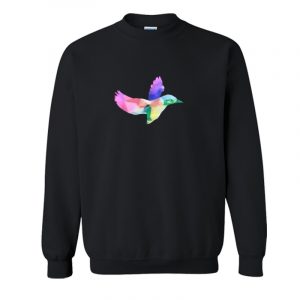 Geometric Rainbow Hummingbird Sweatshirt SN