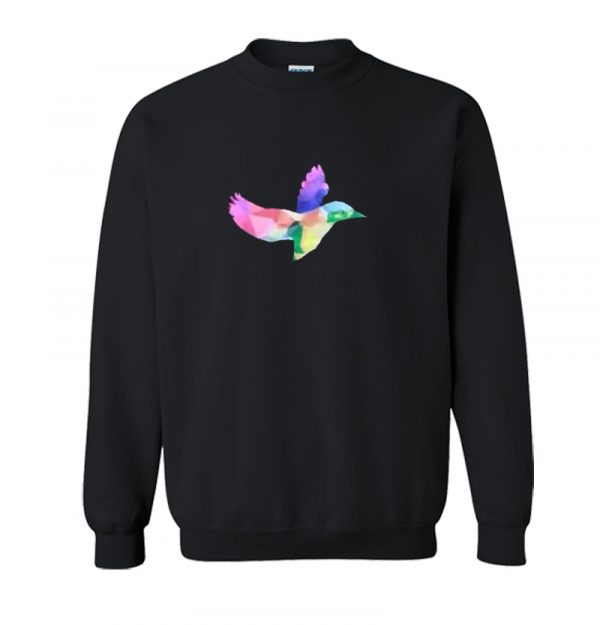 Geometric Rainbow Hummingbird Sweatshirt SN