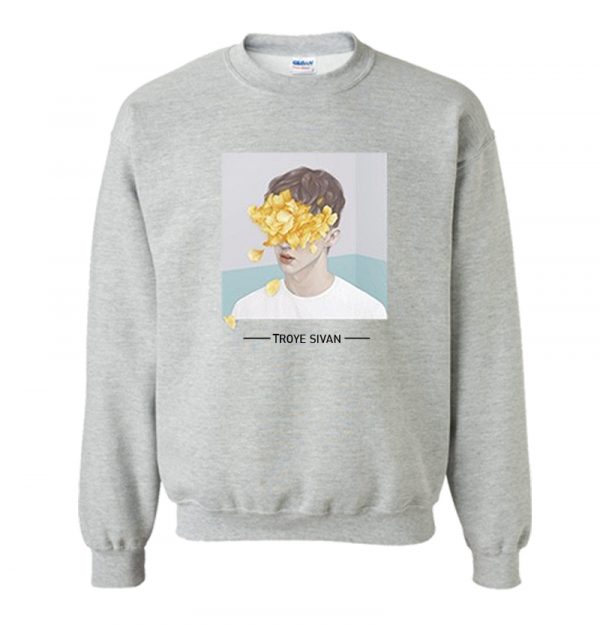 troye sivan sweatshirt SN