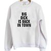 Big Dick Is Back In Town Sweatshirt SN