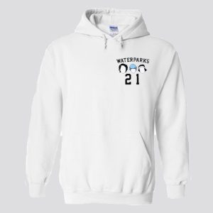 Waterparks 21 Questions Hoodie SN