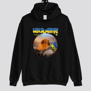 Ukraine Stop War Hoodie SN