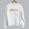 Vintage 1990s Cornell University sweatshirt SN