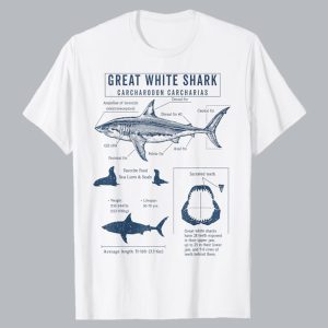 Great White Shark Anatormy T Shirt